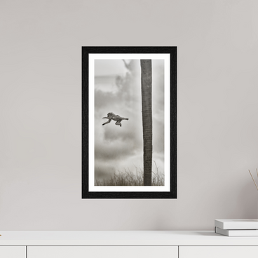 9 x 16″, S+M Black Frame + border Beyond The Branch