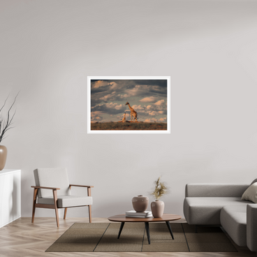 45 x 30″, L+XL White Frame + Border LINEAGE