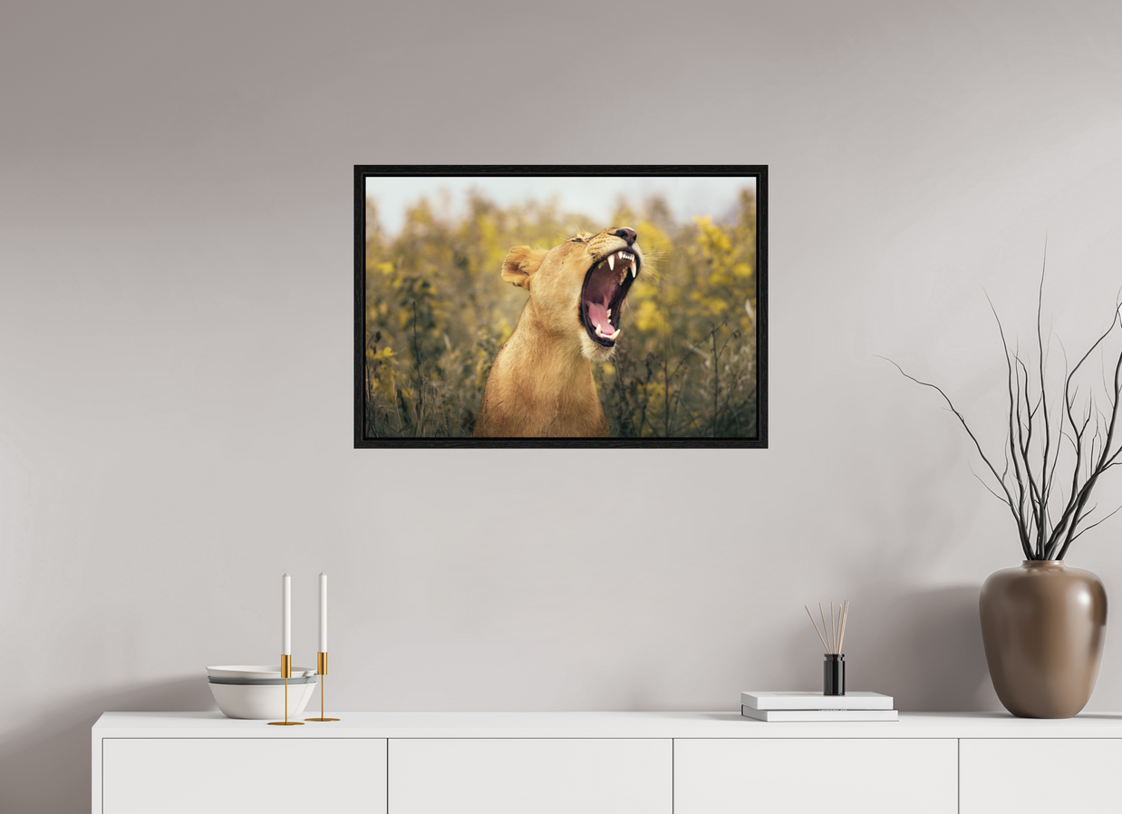 30 x 20″, L+XL Black Floater Frame Uncontained