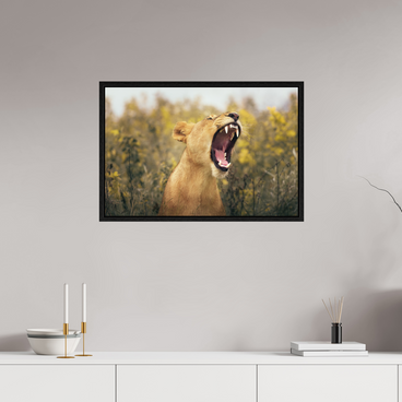 30 x 20″, L+XL Black Floater Frame Uncontained