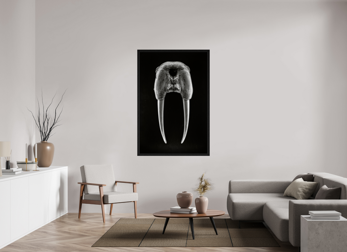 40 x 60″, Exhibition Black Floater Frame DENTAL PLAN