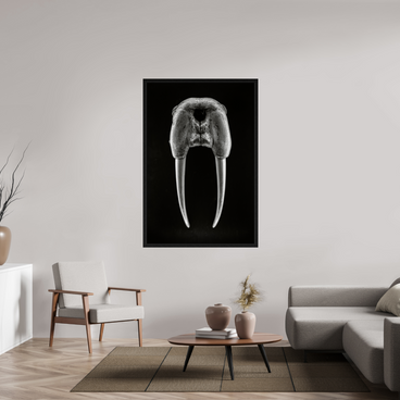 40 x 60″, Exhibition Black Floater Frame DENTAL PLAN