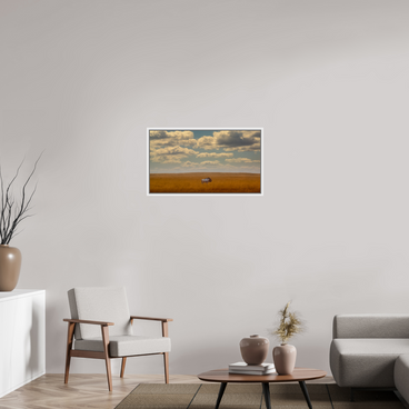 32 x 18″, M L White Floater Freedom of Exposure
