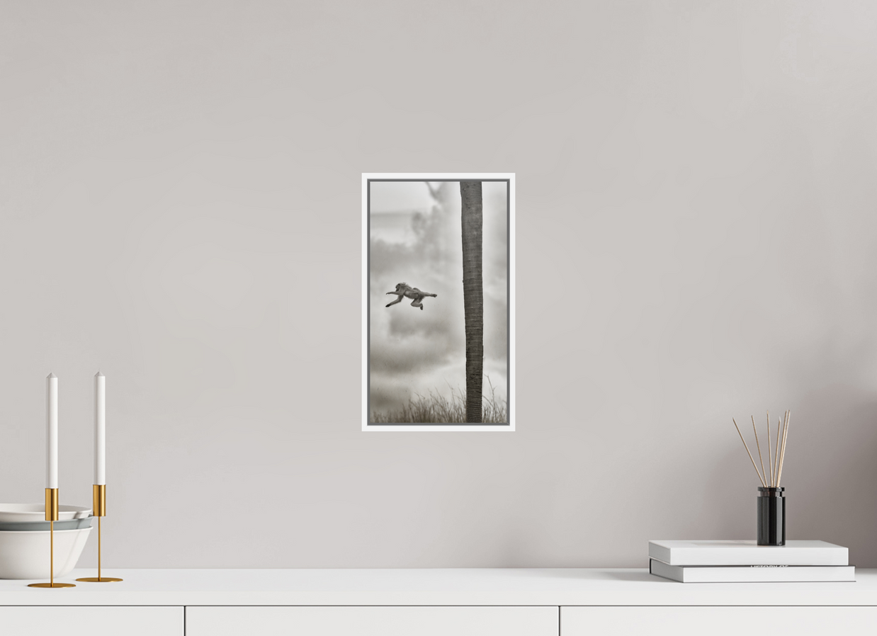 6.8 x 12″, S+M White Floater Frame BEYOND THE BRANCH