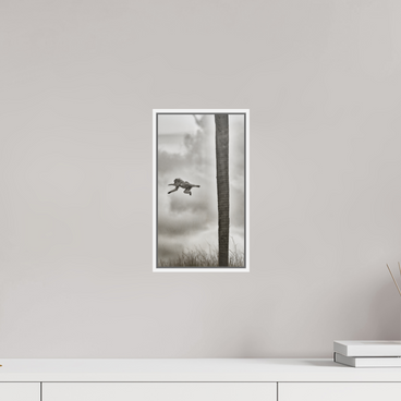 6.8 x 12″, S+M White Floater Frame BEYOND THE BRANCH