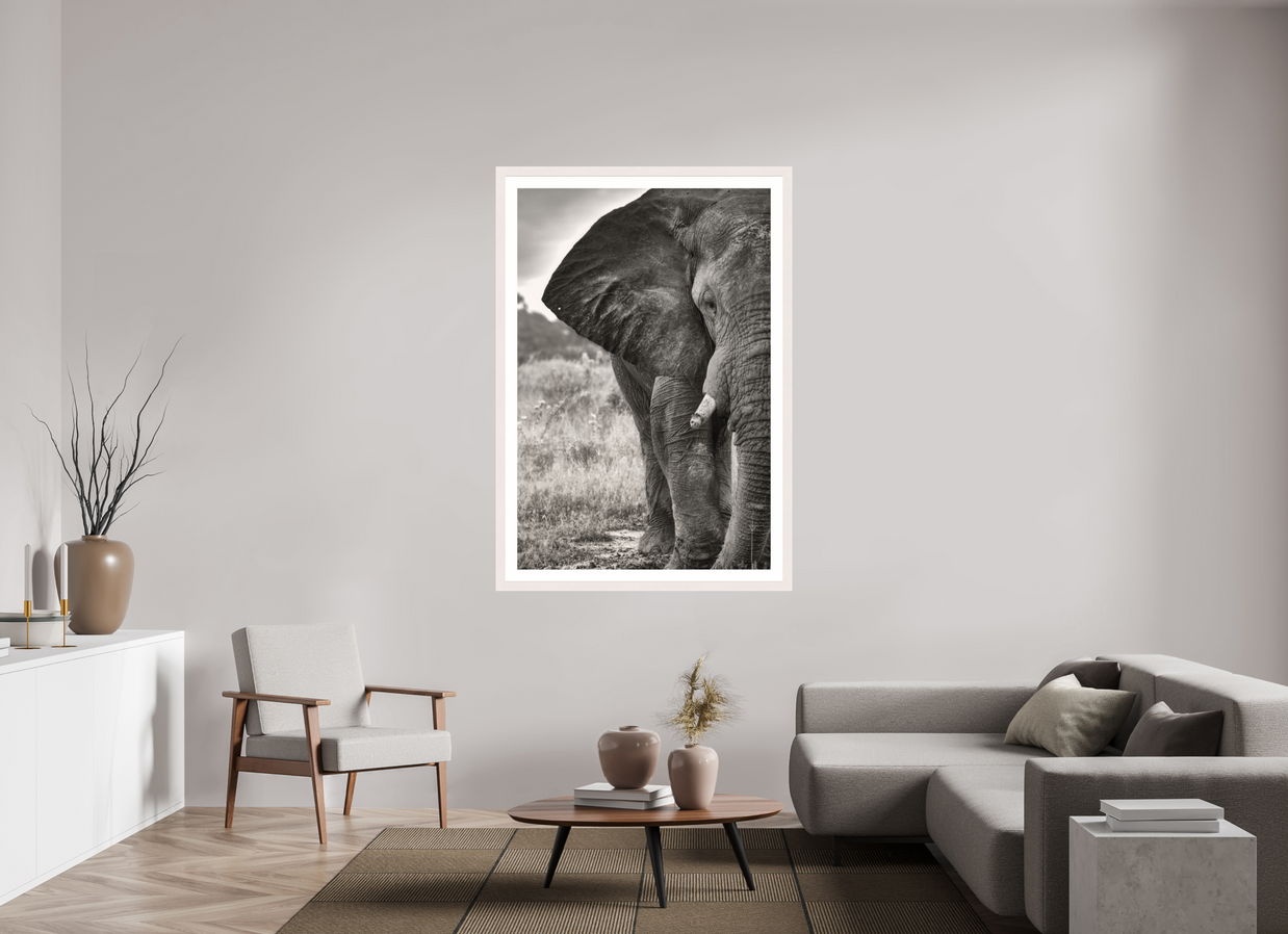 40 x 60″, Exhibition White Maple Frame + Border BURDEN OF A TITAN
