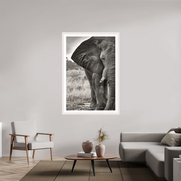 40 x 60″, Exhibition White Maple Frame + Border BURDEN OF A TITAN