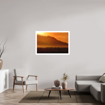 45 x 30″, XL + Exhibition Print PROCESSION OF LIGHT