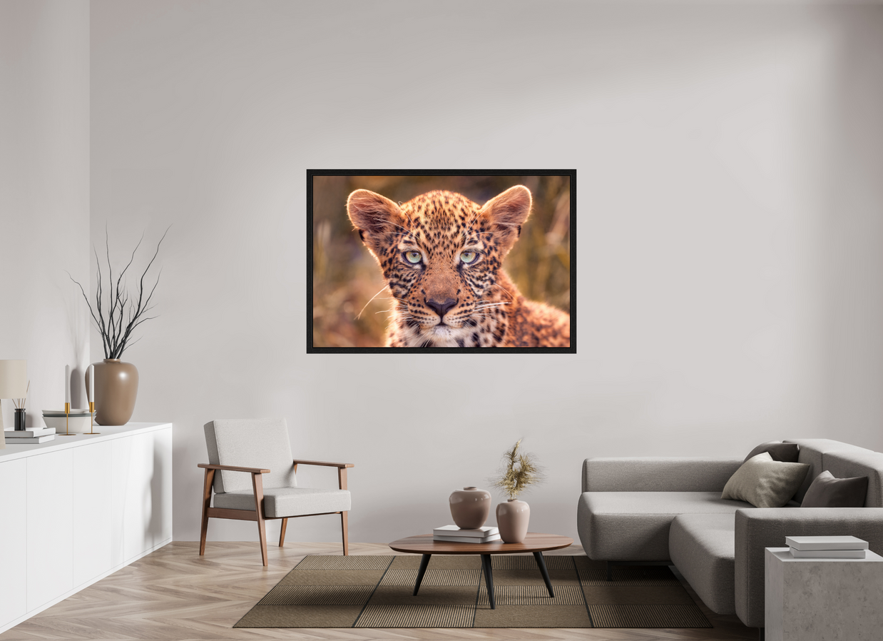 60 x 40″, Exhibition Black Floater Frame SEEN