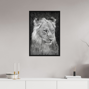 20 x 30″, M L black Floater Heavy will be the Crown