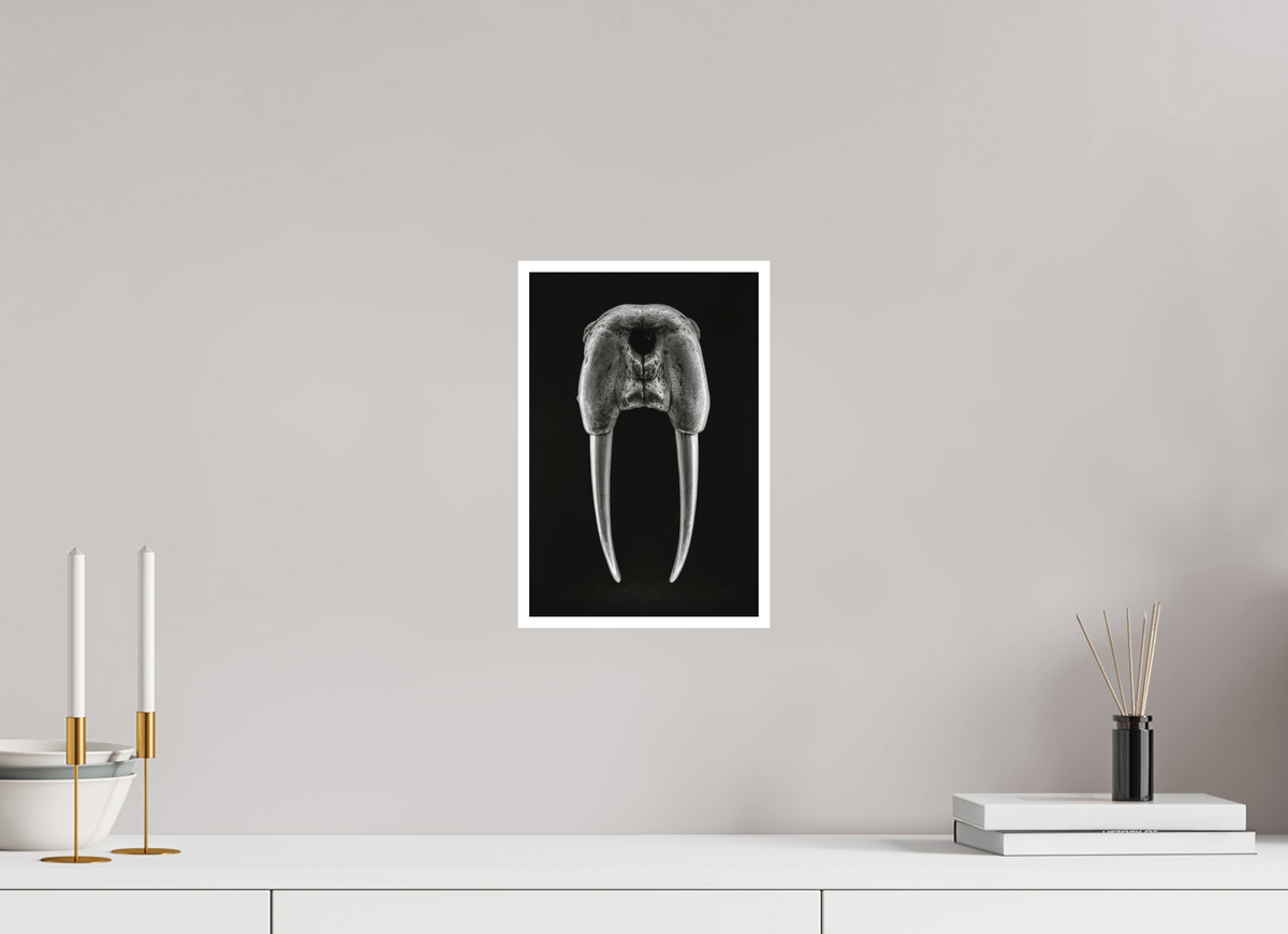 8 x 12″, S Print DENTAL PLAN