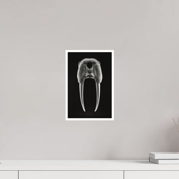 8 x 12″, S Print DENTAL PLAN