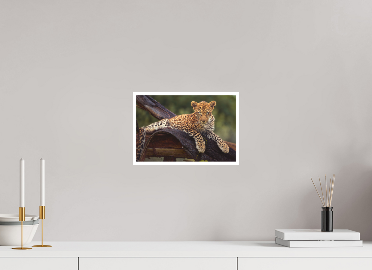 12 x 8″, S Print BEFORE KNOWING