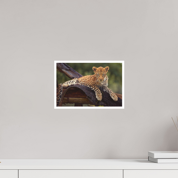 12 x 8″, S Print BEFORE KNOWING