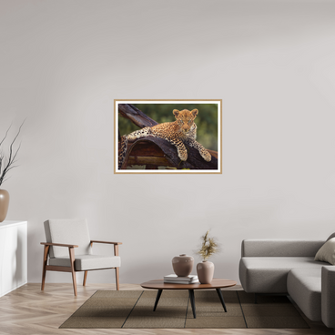 45 x 30″, L+XL Oak Frame + Border BEFORE KNOWING