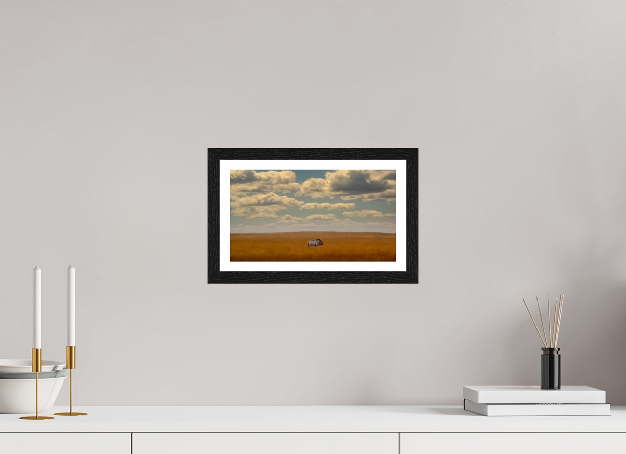 12 x 6.8″, S+M Black Frame + border FREEDOM OF EXPOSURE