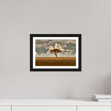 12 x 8″, S+M Black Frame + border STRUCTURED CHAOS