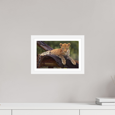 12 x 8″, S+M White Frame + Border BEFORE KNOWING