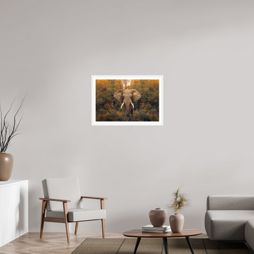 30 x 20″, L+XL White Frame + Border REVELATION