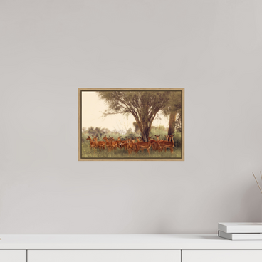 12 x 8″, S+M Oak Floater Frame The Field Feels