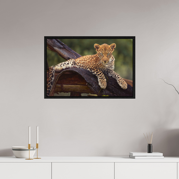 30 x 20″, L+XL Black Floater Frame Before Knowing