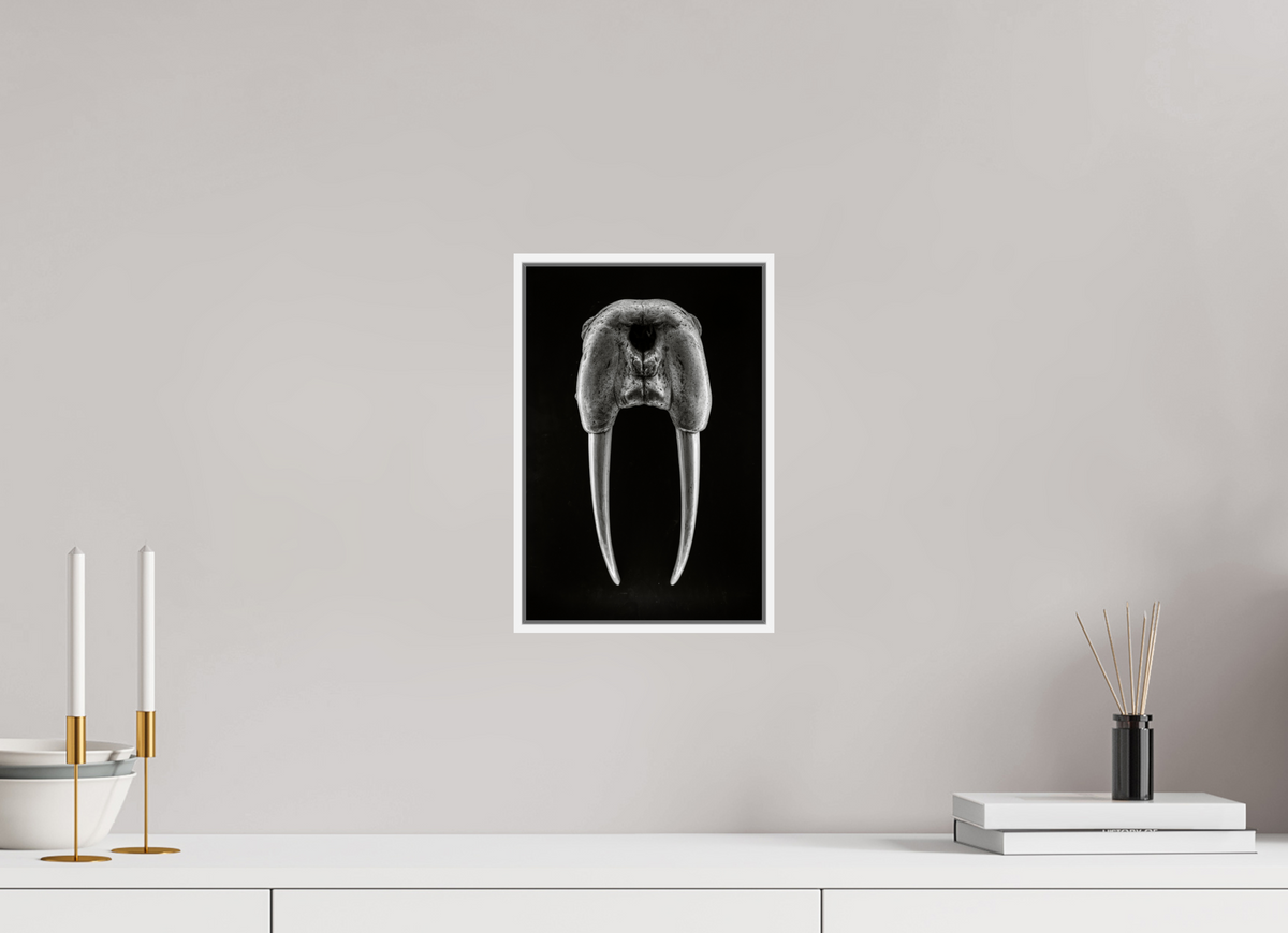 8 x 12″, S+M White Floater Frame DENTAL PLAN
