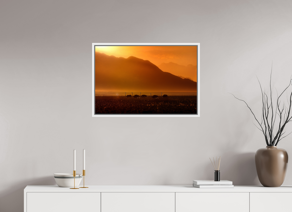 30 x 20″, M L White Floater Procession of Light