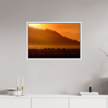 30 x 20″, M L White Floater Procession of Light