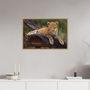 30 x 20″, L+XL Oak Floater Frame Before Knowing
