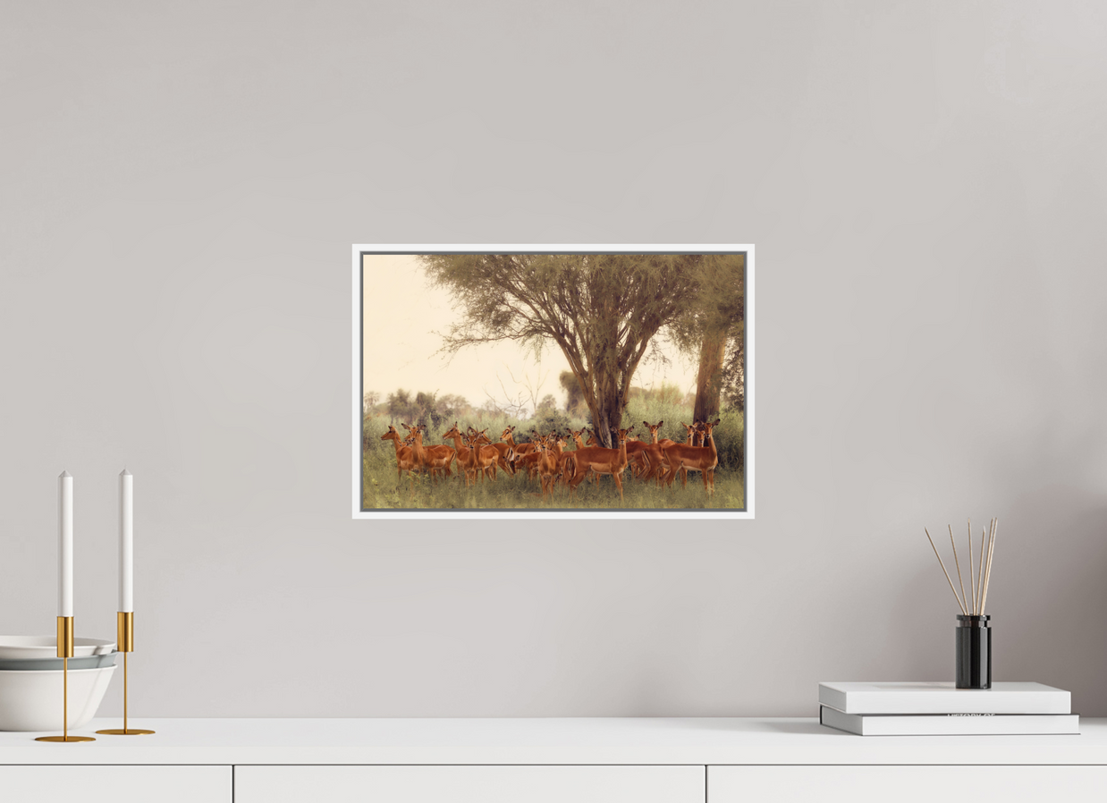 15 x 10″, S+M White Floater Frame The Field Feels