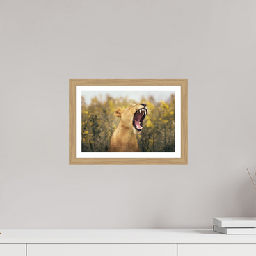 12 x 8″, S+M Oak Frame + Border UNCONTAINED