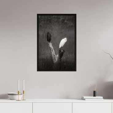 20 x 30″, L+XL Black Floater Frame TWO TRUTHS
