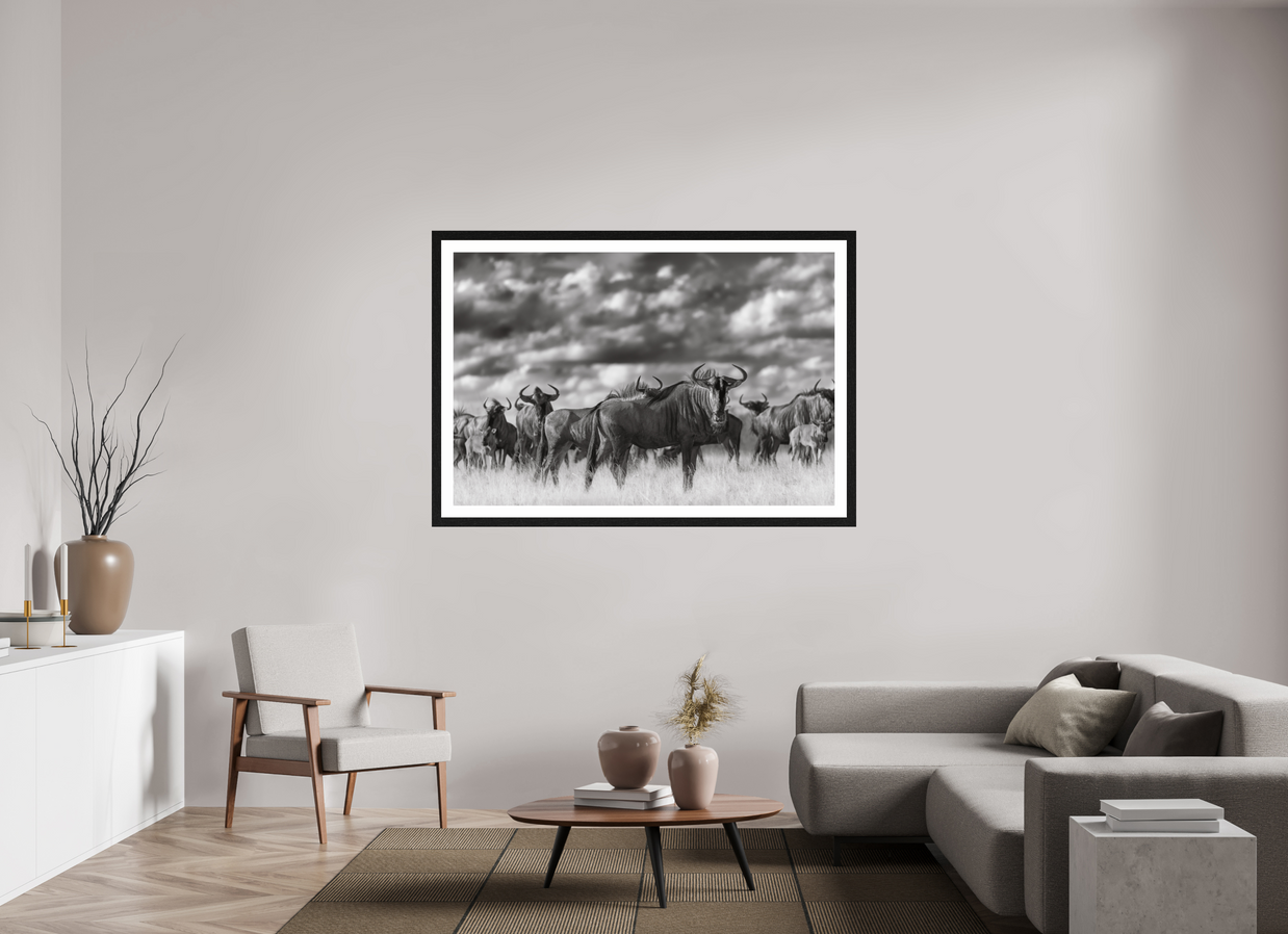 60 x 40″, Exhibition Black Frame + Border MYSELF IN THE MANY