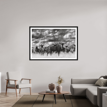 60 x 40″, Exhibition Black Frame + Border MYSELF IN THE MANY