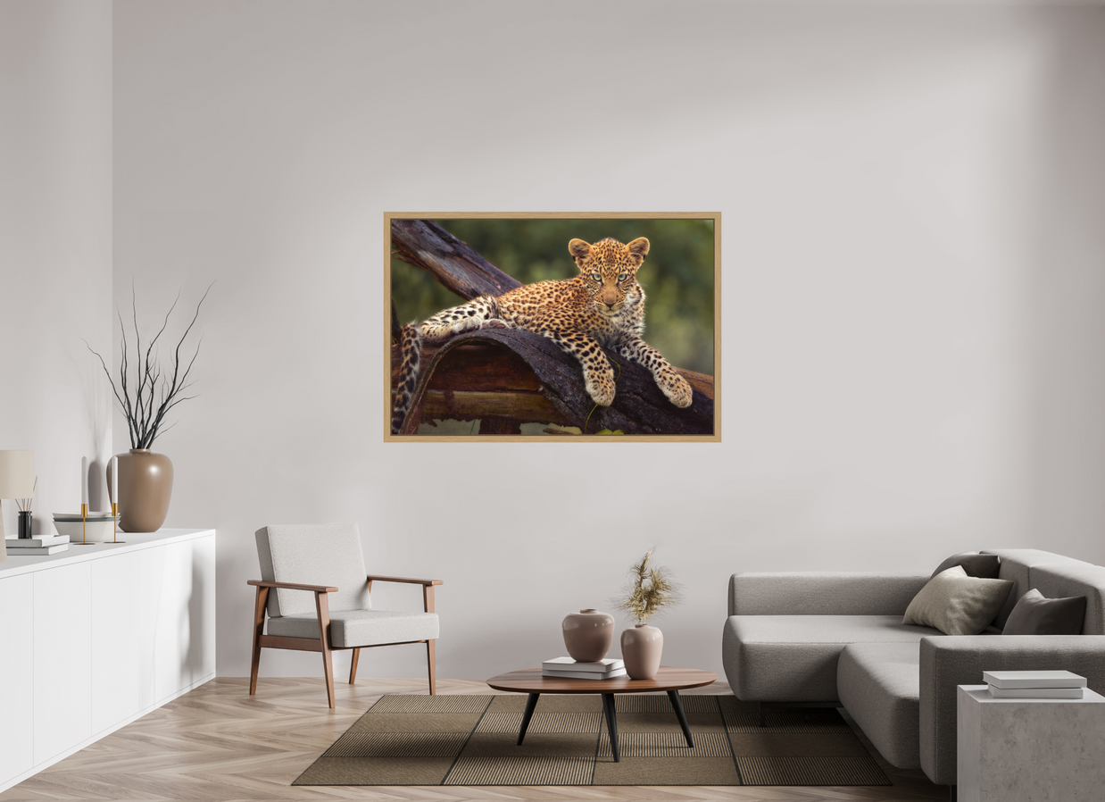 60 x 40″, Exhibition Oak Floater Frame BEFORE KNOWING