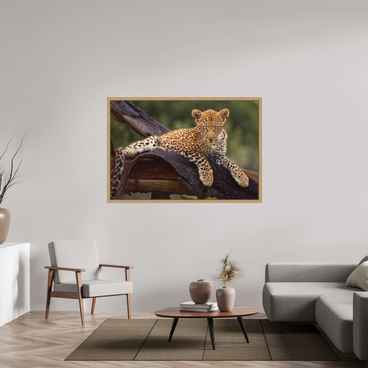 60 x 40″, Exhibition Oak Floater Frame BEFORE KNOWING