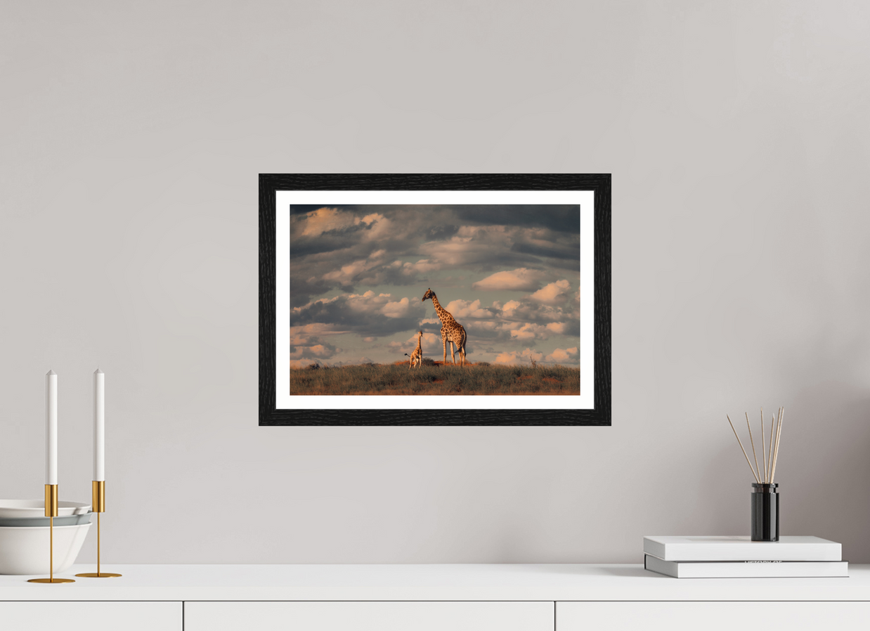15 x 10″, S+M Black Frame + border LINEAGE