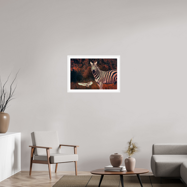 30 x 20″, L+XL White Frame + Border PASSING THROUGH