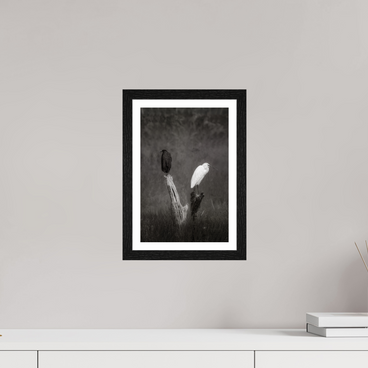 8 x 12″, S+M Black Frame + border TWO TRUTHS