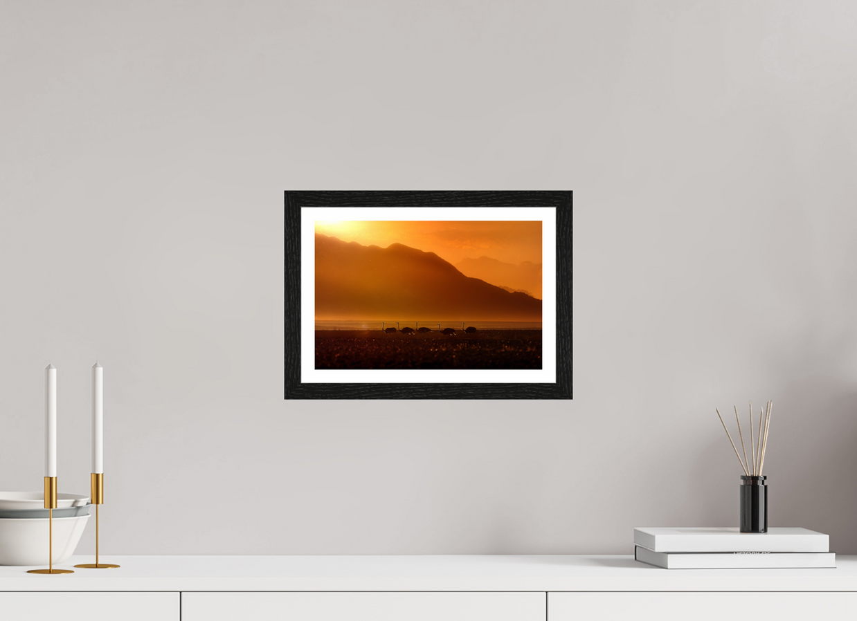 12 x 8″, S+M Black Frame + border PROCESSION OF LIGHT