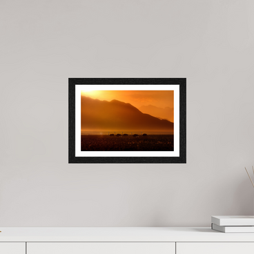 12 x 8″, S+M Black Frame + border PROCESSION OF LIGHT