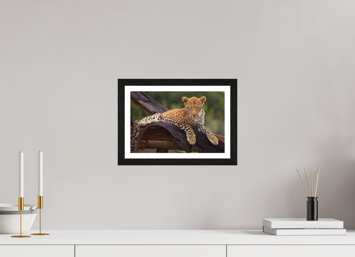 12 x 8″, S+M Black Frame + border BEFORE KNOWING