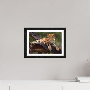 12 x 8″, S+M Black Frame + border BEFORE KNOWING