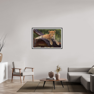 45 x 30″, L+XL Black Frame + Border BEFORE KNOWING