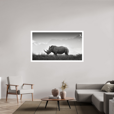 64 x 36″, XL + Exhibition Print ANCIENT GRAVITY