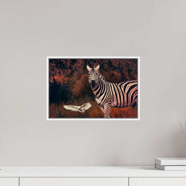 15 x 10″, S+M White Floater Frame Passing Through