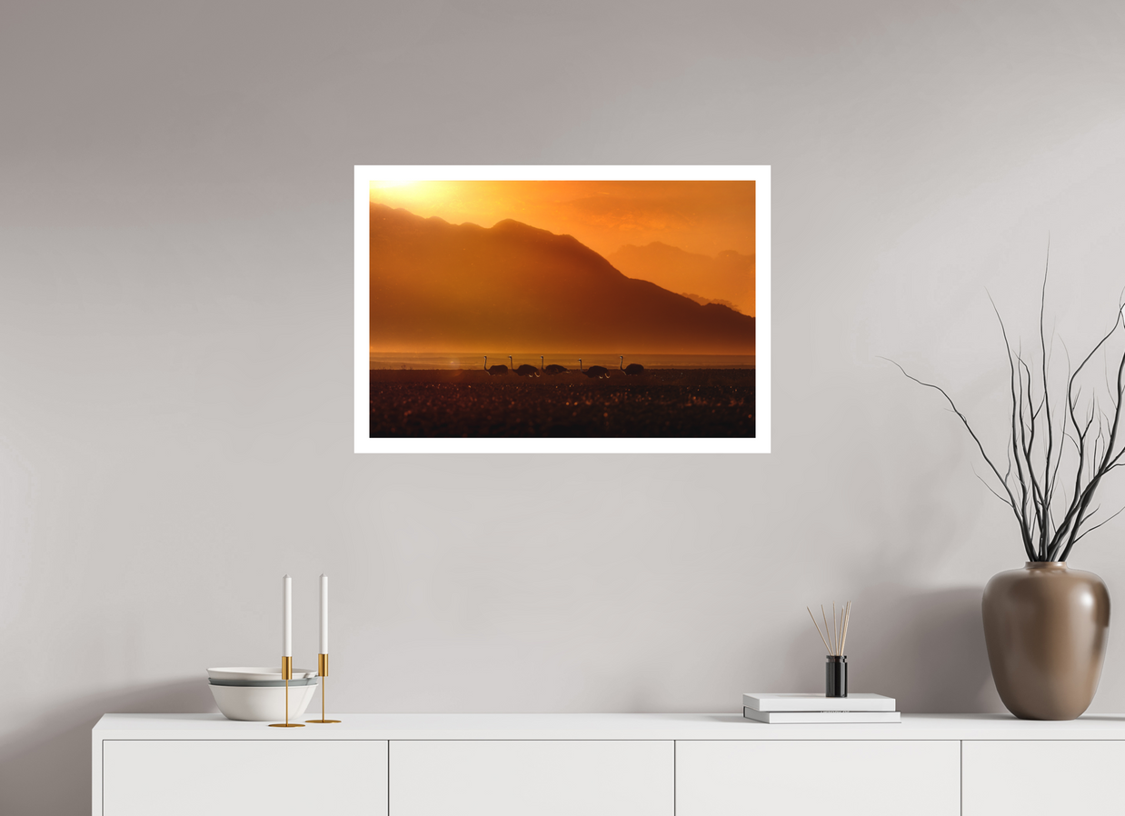 30 x 20″, L Print PROCESSION OF LIGHT