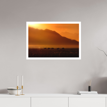 30 x 20″, L Print PROCESSION OF LIGHT