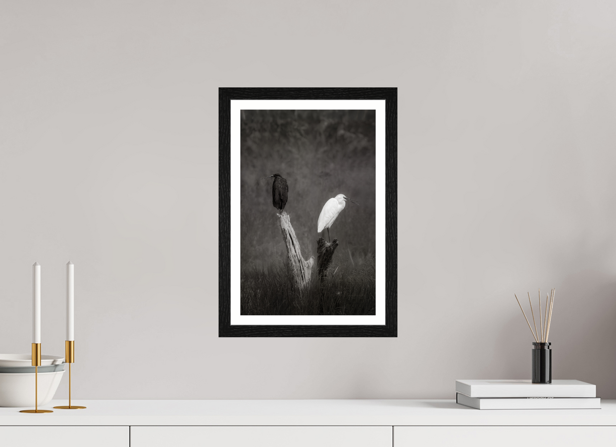 10 x 15″, S+M Black Frame + border TWO TRUTHS