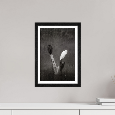 10 x 15″, S+M Black Frame + border TWO TRUTHS